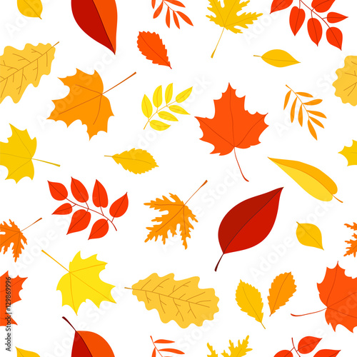 Seamless vector pattern on a white background