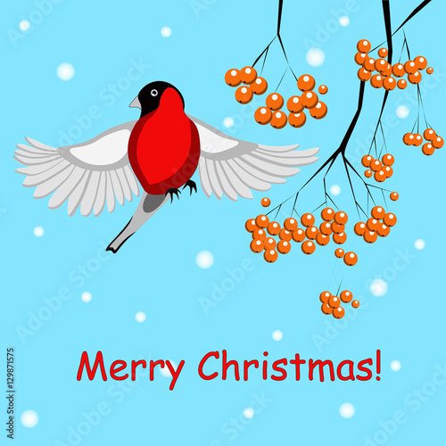 A christmas card with a bullfinch and Rowan