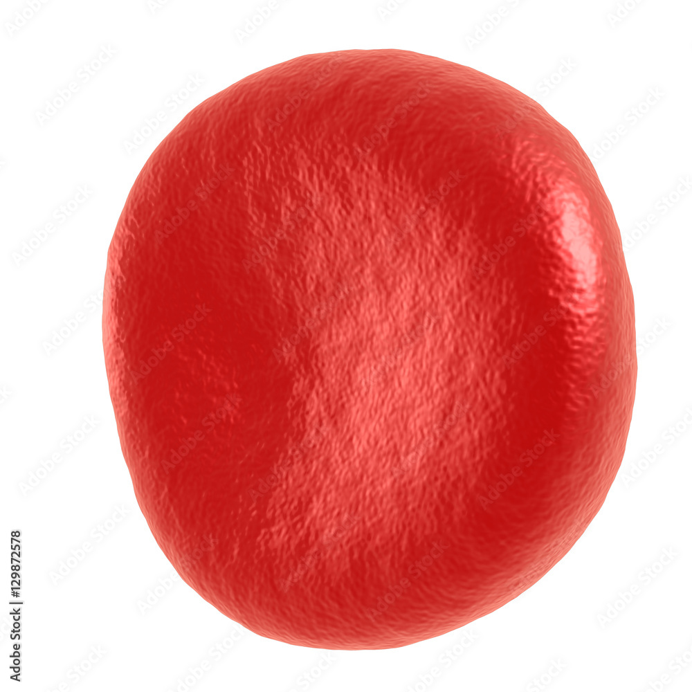 Red blood cell. 3d render isolated on white. Healthcare and medical zoom concept. Red blood cell. 3d render isolated on white. Healthcare and medical zoom concept.