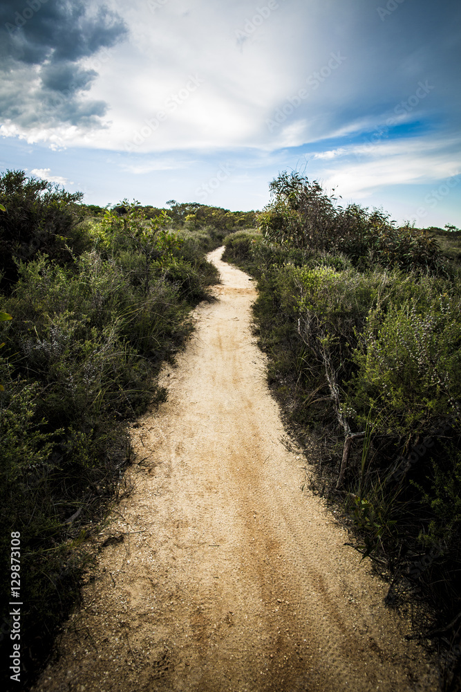 Dirt trail through bush land