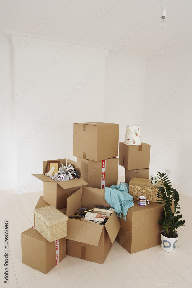 Stack of moving boxes and pot plant in new house Stack of moving boxes and pot plant in new house