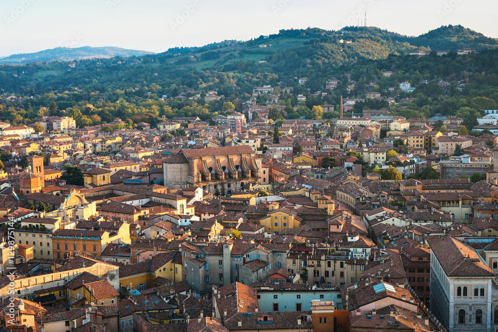 above view of Bologna city from Torre Asinelli