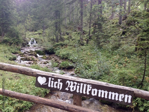 stream