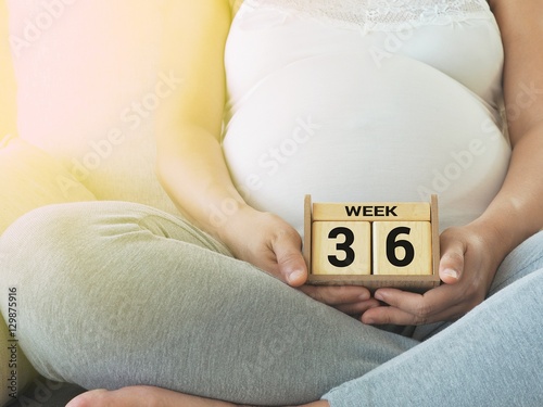 Calendar with weeks 36 of pregnant with pregnancy woman background. Maternity concept. Expecting an upcoming baby. Due date countdown.