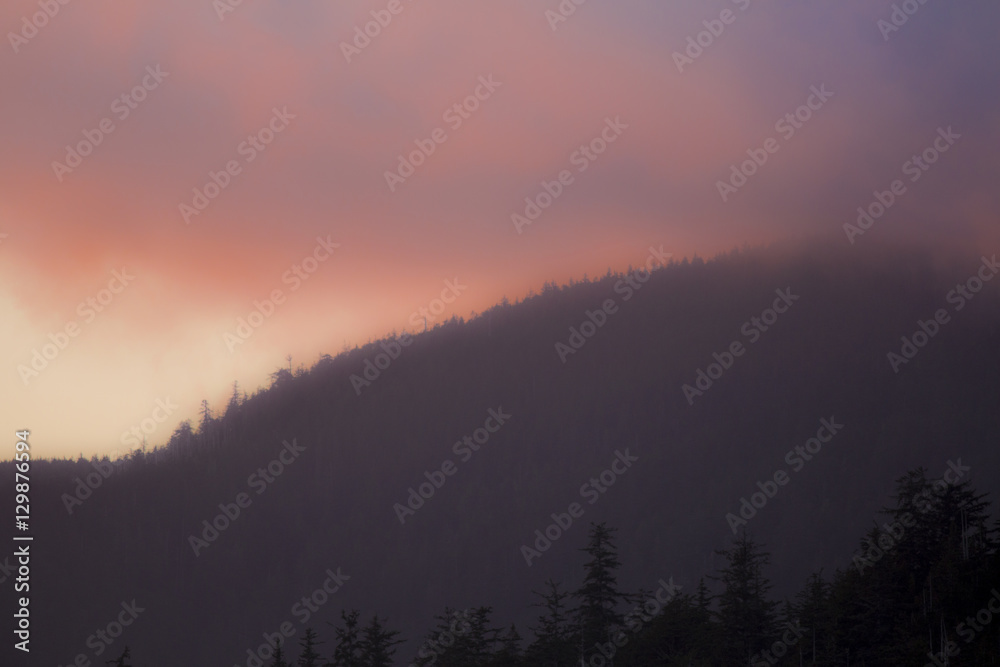 Misty forrest hill top sunset