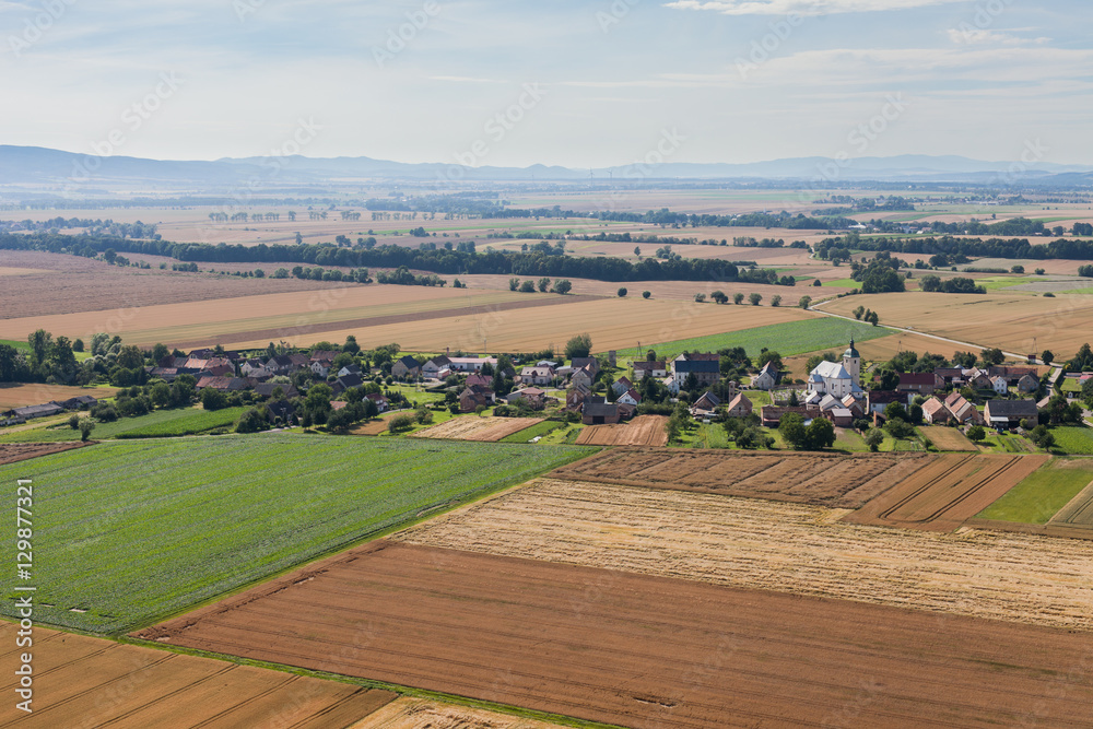 aerial view of green harvest fields