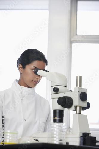Young Asian female scientist using microscope to examine petri dish in laboratory