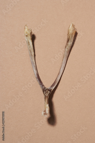 Canvastavla Wishbone isolated over colored background