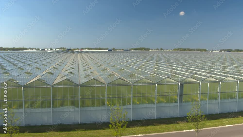 AERIAL: Flying above roofs of modern glass hothouses cultivating organic plants AERIAL: Flying above roofs of modern glass hothouses cultivating organic plants