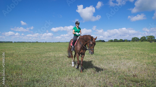 Young woman riding a horse on the green field