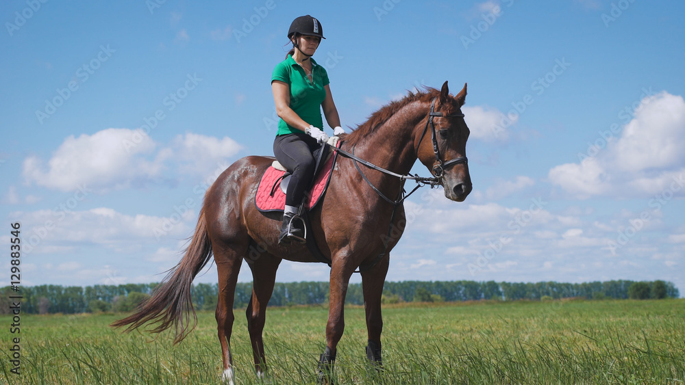Young woman riding a horse on the green field Young woman riding a horse on the green field