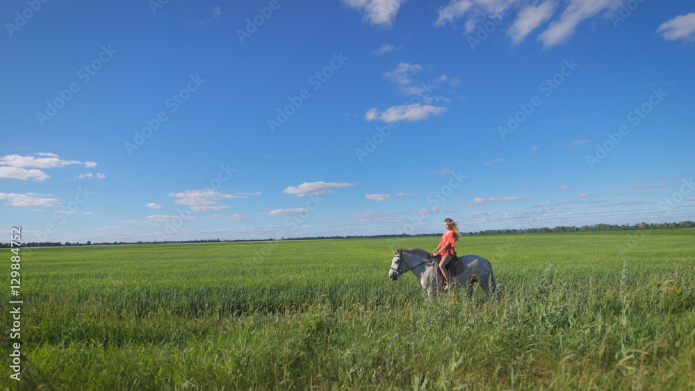 Beautiful blonde girl riding a horse at a countryside Beautiful blonde girl riding a horse at a countryside
