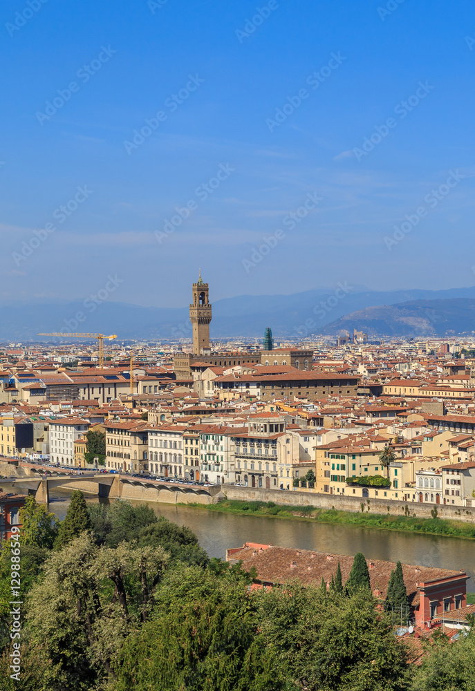 View of Florence's historic center, vertical frame
