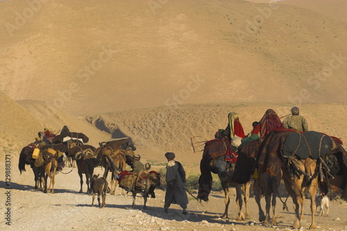 Kuchie nomad camel train, between Chakhcharan and Jam, Afghanistan photo