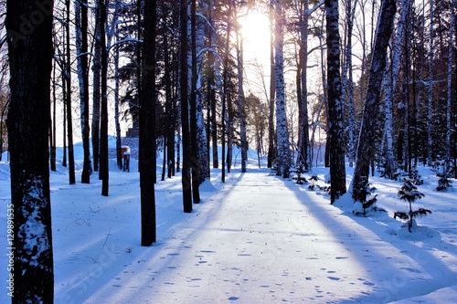 Central Park in Tomsk, Western Siberia on a cold day © aleksandr