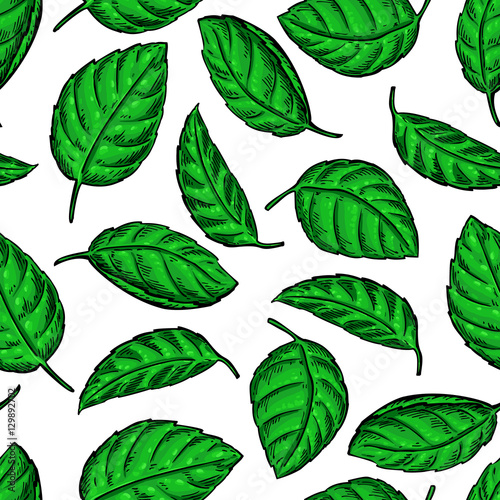 Mint vector drawing seamless pattern. Isolated  plant and leaves © Maria.Epine