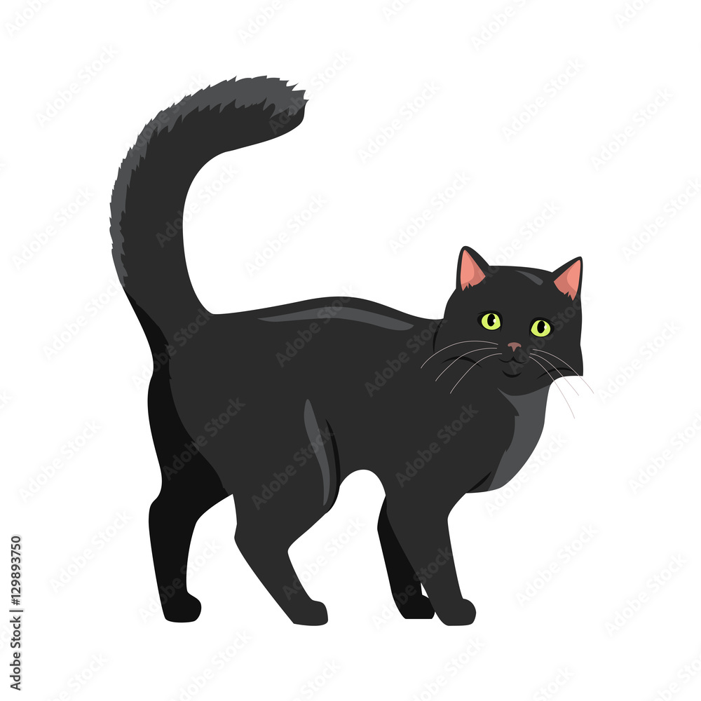 Black cat Vector Flat Design Illustration