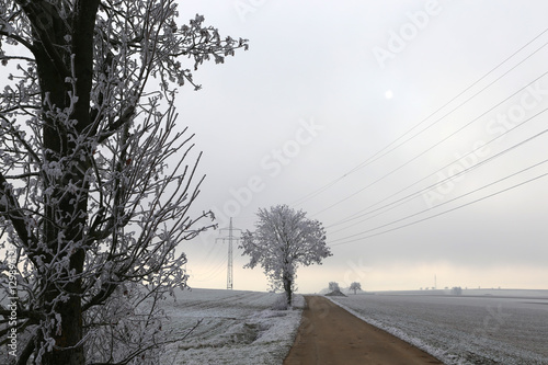 Winter landscape © leomalsam