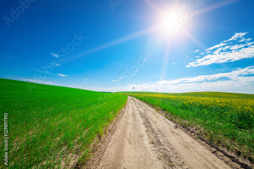 Green Field and Beautiful Sunset