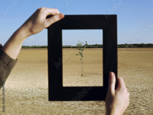 Closeup of woman's hands framing plant in desert