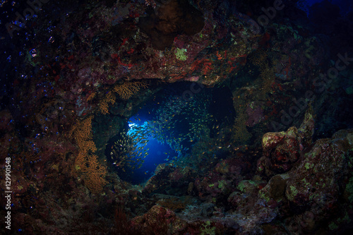 Sunlight pours down into a dark underwater hole in a cave of reef in Red sea, Egypt. Beautiful rock islands and world class scuba diving and snorkeling.