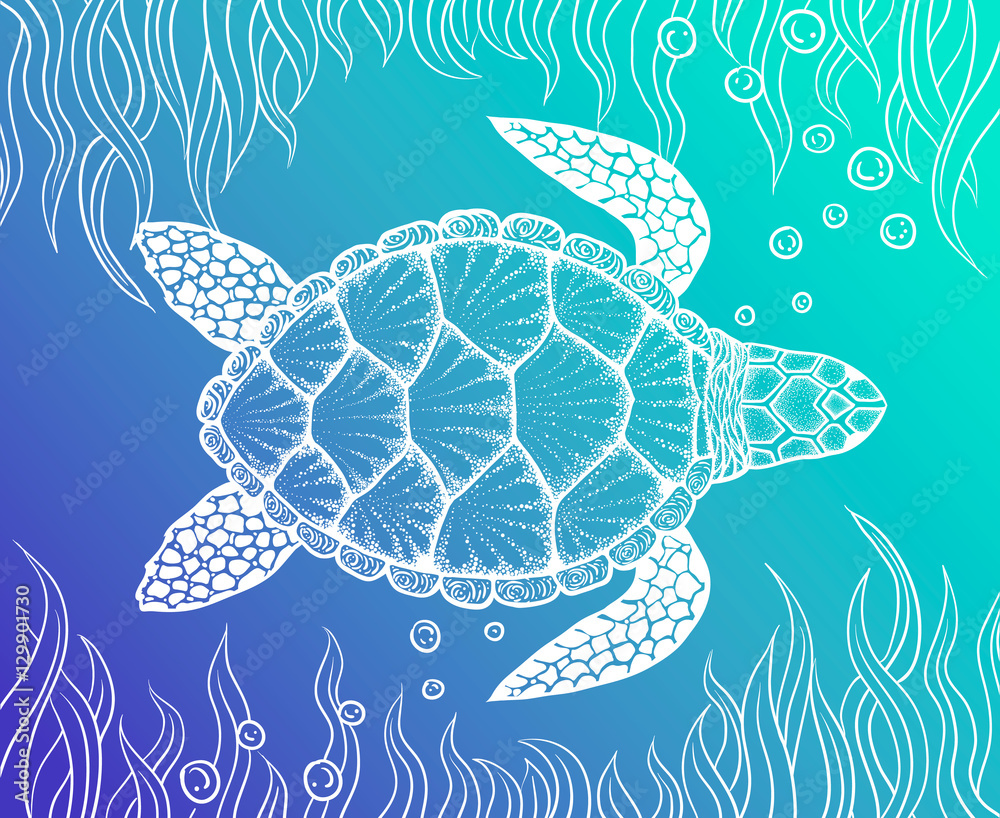 Obraz premium Sea turtle in line art style. Hand drawn vector illustration. Top view. Design for coloring book. Set of ocean elements