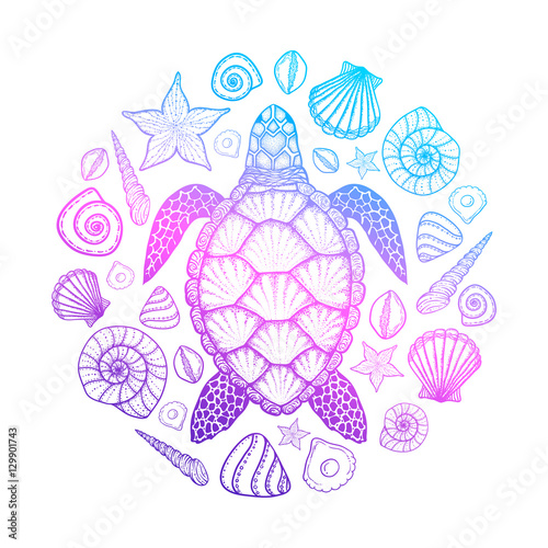 Sea turtle and shells in line art style. Hand drawn vector illustration. Top view. Design for coloring book. Set of ocean elements