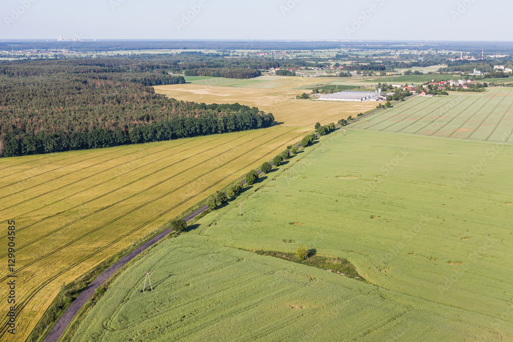 aerial view of the  harvest fields