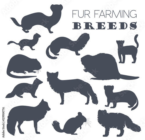 Fur farming. Flat design