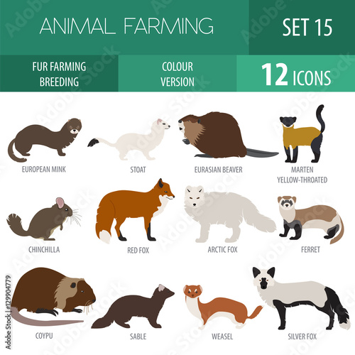 Fur farming. Flat design