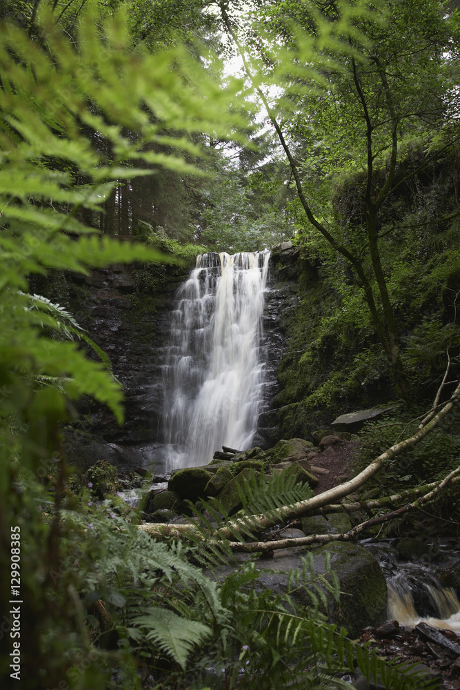 Waterfall in forest