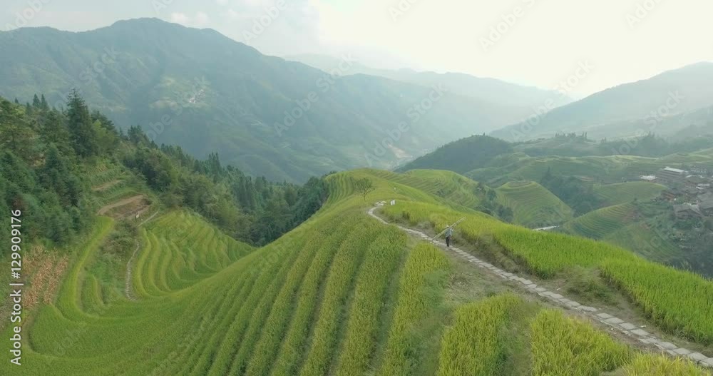 Beautiful 4k aerial sgot of the Longji Rice Terraces located next to the village of Ping'an in Longsheng County, Southern China. Fresh green rice fields in Fall. Mountain, rural landscape. Beautiful 4k aerial sgot of the Longji Rice Terraces located next to the village of Ping'an in Longsheng County, Southern China. Fresh green rice fields in Fall. Mountain, rural landscape.
