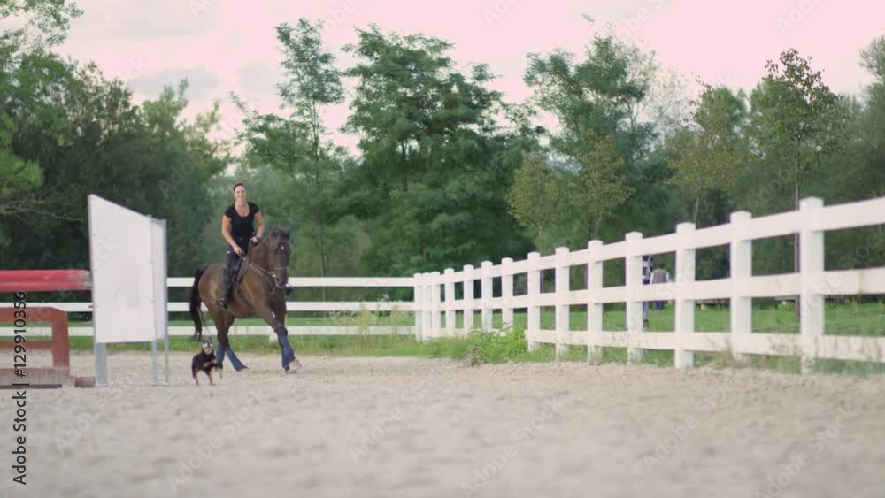 DOF: Young cheerful girl riding big beautiful dark bay stallion at sandy manege DOF: Young cheerful girl riding big beautiful dark bay stallion at sandy manege