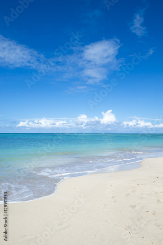 Empty tropical dream beach on an island off the remote coast of Bahia  Nordeste  Brazil
