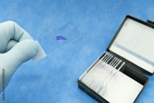 H&E stainig animal tissue sections on slide glasses and storage rack