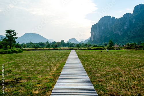 A wooden path above the paddy fields, Vang Vieng