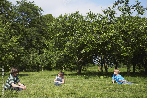 Three children sitting on grass near orchard