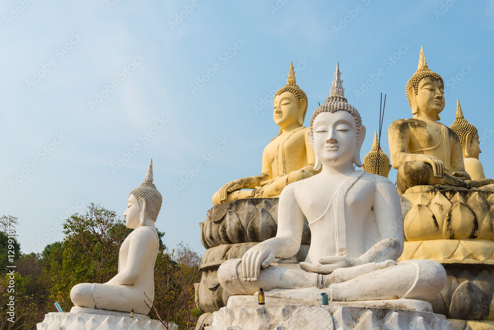 Fototapeta premium Buddha statue
