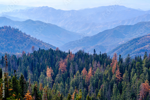 Sequoia National Park mountain landscape at autumn © haveseen