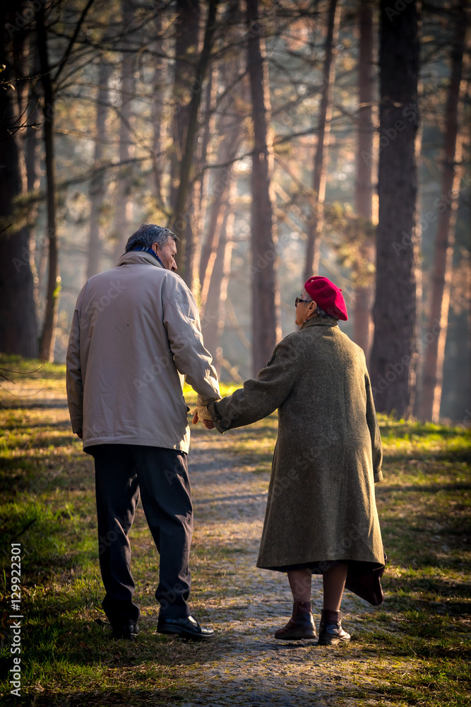 Fototapeta premium old couple waling and holding hands in park