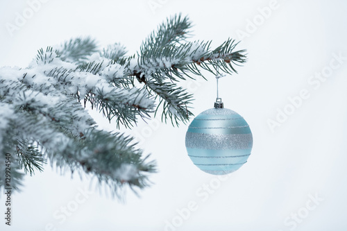 Christmas ball with pine branch