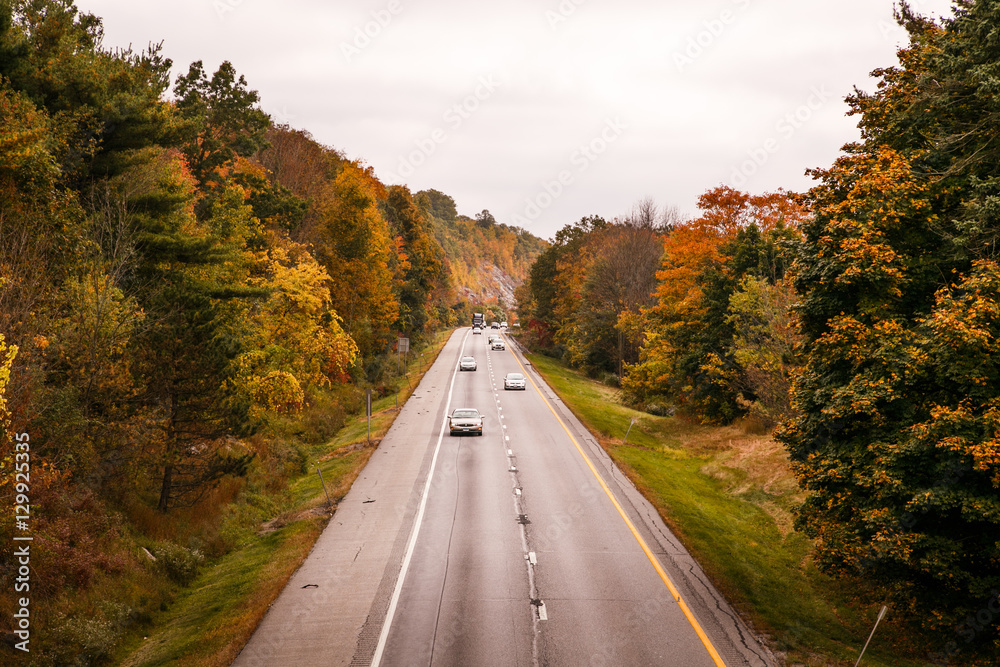 Fototapeta premium The open road