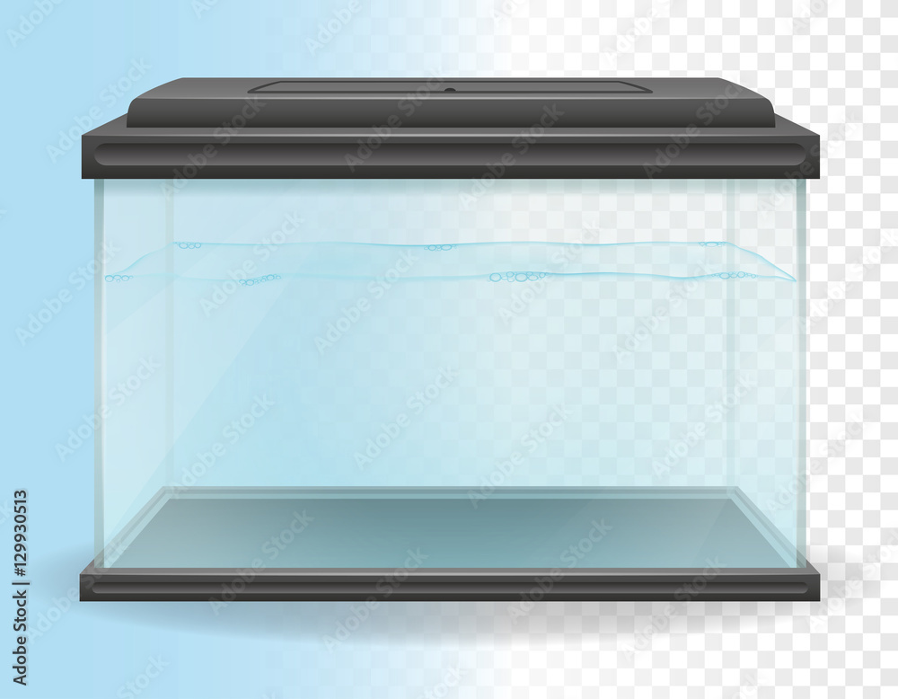 Fototapeta premium transparent aquarium vector illustration
