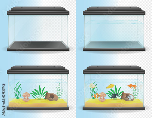 transparent aquarium vector illustration