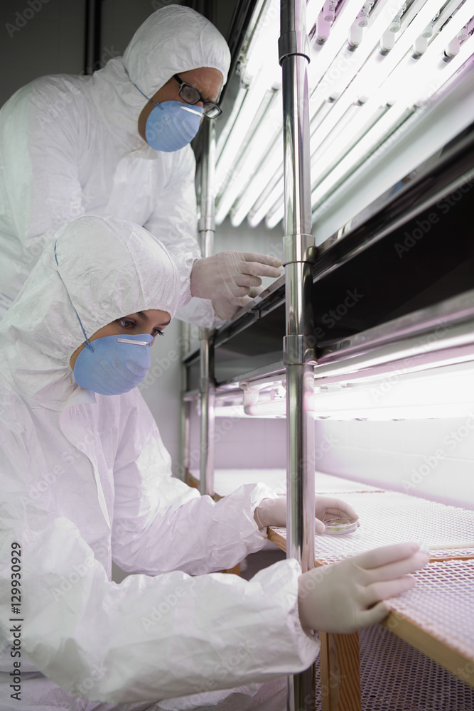 Workers in protective masks and suit examining plant at shelves in lab Workers in protective masks and suit examining plant at shelves in lab