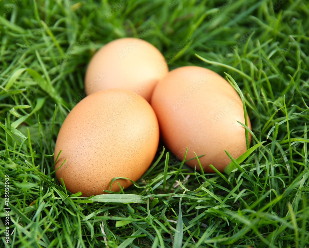 Raw eggs on green grass background Raw eggs on green grass background