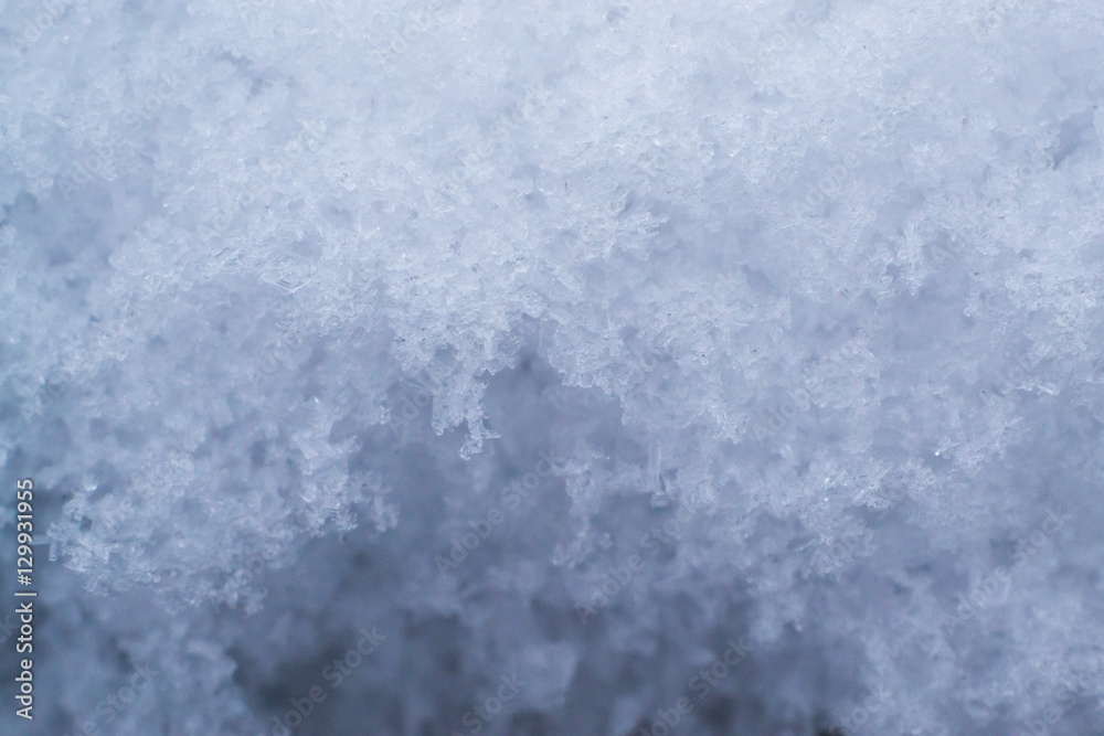 Snow crystals close-up macro