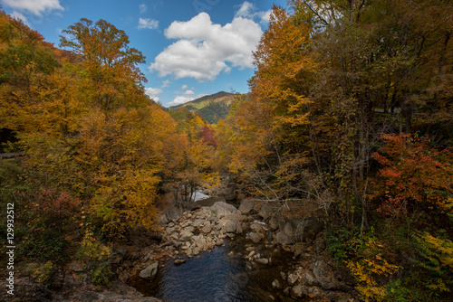 Fall at Sams Branch