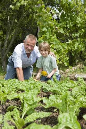 Portrait of happy young boy with grandfather gardening in community garden