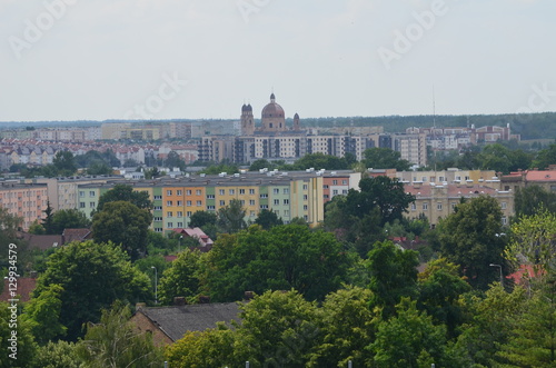 Białystok latem/Bialystok in summer, Poland